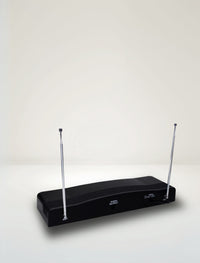 Dual Handheld Wireless Microphone System MR DJ MIC3250 for karaoke and PA