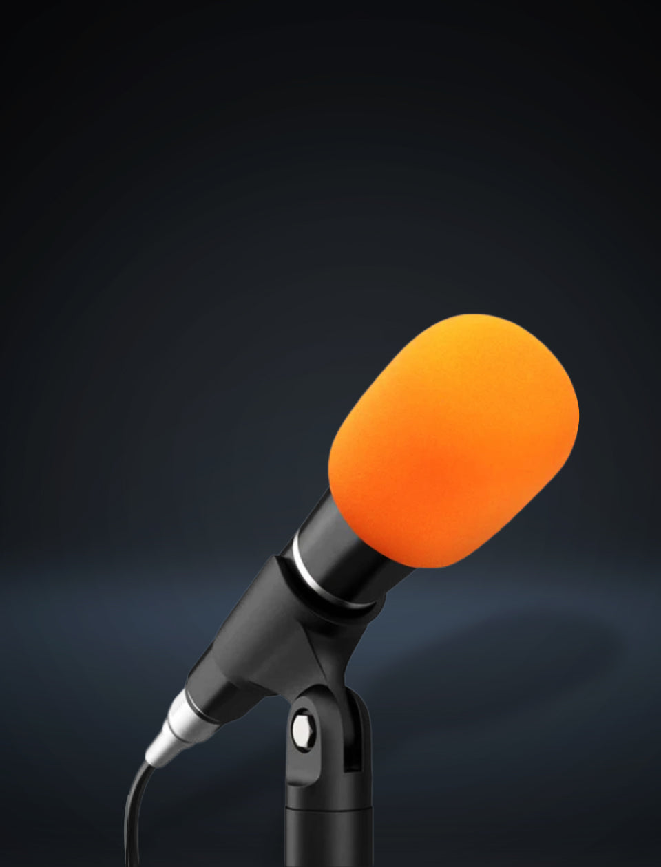 10 Pack Colorful Microphone Cover Handheld Stage Microphone Windscreen Sponge Cover Suitable for Karaoke DJ, Dance Ball, Conference Room, News Interviews, Stage Performance (5 Color)