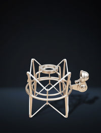 Spider shockmount holding a studio microphone to reduce vibration and handling noise