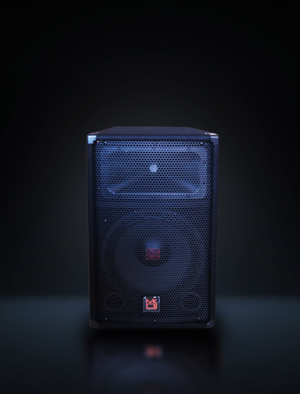 MR DJ PSS1700 Single 15" Passive 2-Way DJ/PA PRO Audio Loudspeaker