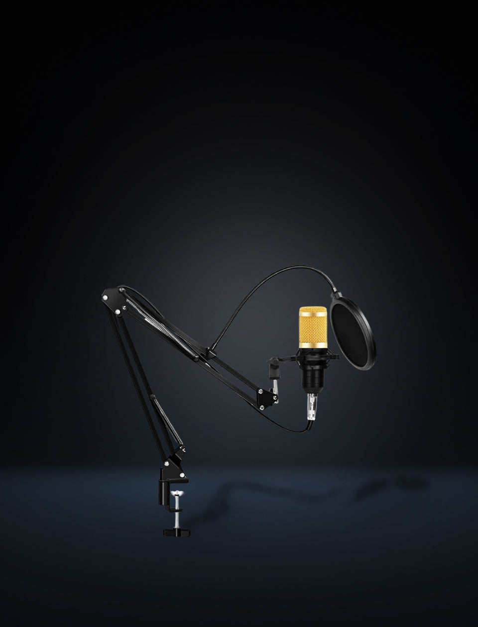 MR DJ CONDKIT5 Studio Condenser Microphone Arm Stand Pop Filter Foam Cap Kit Record Accessory