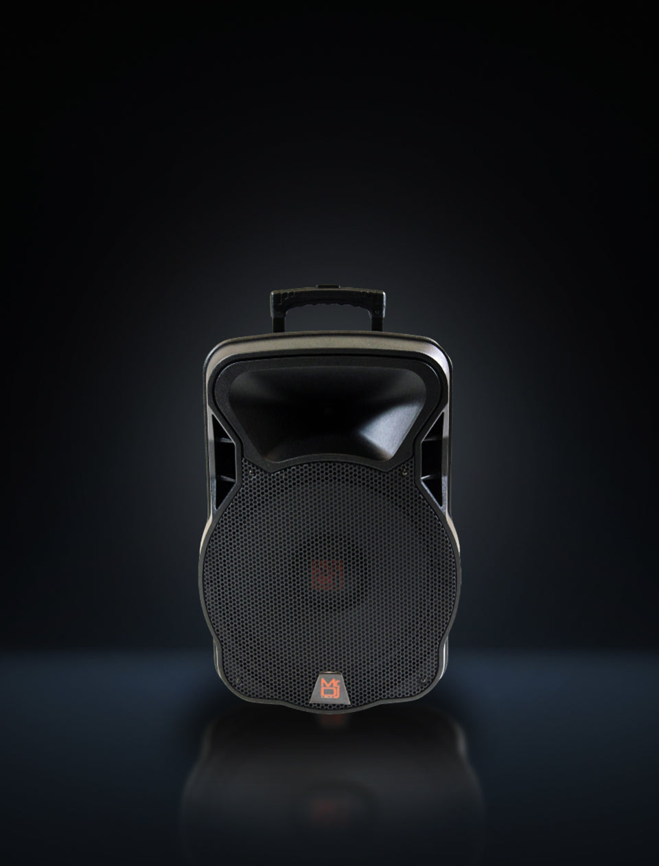 MR DJ DSP4000 PRO Bluetooth DSP FM Radio PA DJ Speaker