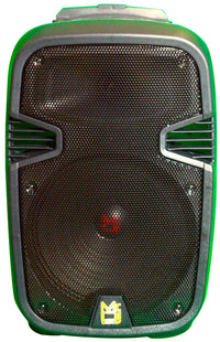 2 MR DJ PL12FLAME Portable Translucent Bluetooth Speaker front view with black grille and green accents